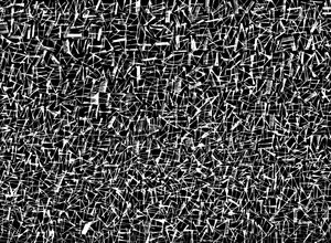 テクスチャー, 2017（イングレス紙にインク）