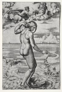 金星の誕生、c。 1516年。 作： Marco Dente