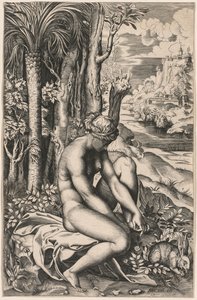バラの棘で傷ついた金星、c。 1516。 作： Marco Dente