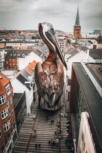  作： Marcus Hennen