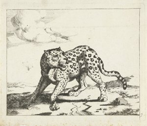 ヒョウ、左に立ち、右に頭 ヒョウ（シリーズタイトル） 作： Marcus de Bye