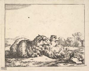 1664年、16枚のプレートからなる「羊」。 作： Marcus de Bye