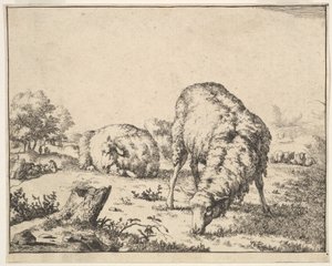 羊、16 枚のプレートのセットから、1664 年。 作： Marcus de Bye