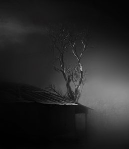 不気味な霧に包まれた木 作： Margaret Halaby