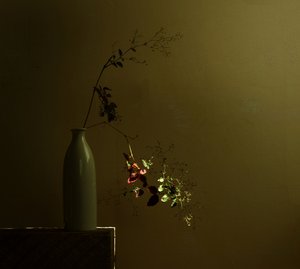 ムーディな植物の静物画 作： Margaret Halaby