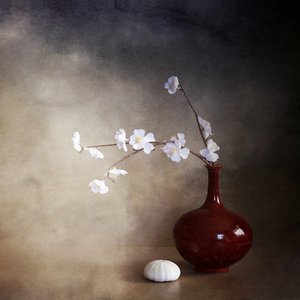 静かな桜 作： Margaret Halaby