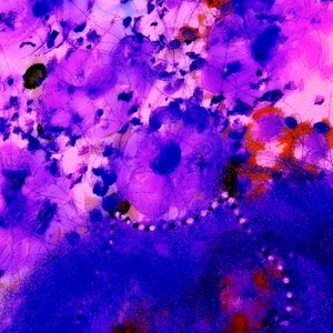 ブルーアワー！ 作： Margareta Uliarte