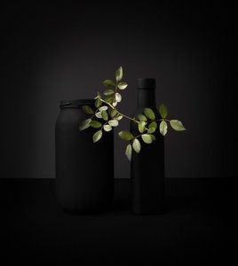 黒い物体と緑の枝 作： 
