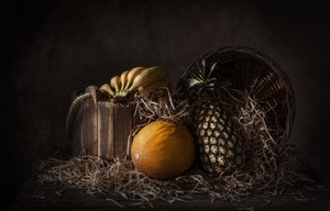 「ダーク・トロピカル・スティルライフ」 作： Margareth Perfoncio