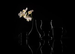  作： Margareth Perfoncio