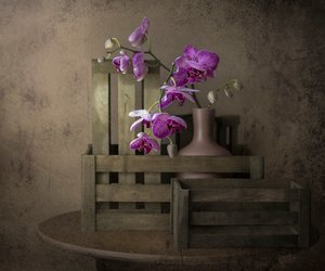  作： Margareth Perfoncio