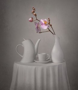 ピンク・オーキッド・ティータイム 作： Margareth Perfoncio