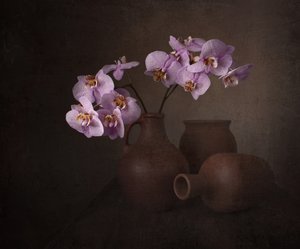 紫のランの静物画