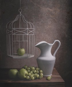 素朴な鳥かごの静物画 作： Margareth Perfoncio