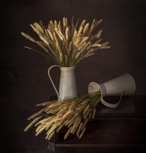 素朴な羽飾りと水差し 作： Margareth Perfoncio