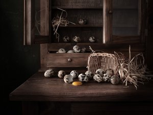 素朴なウズラの卵 作： 