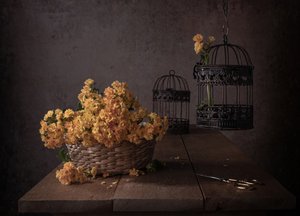 素朴な黄色の花 作： Margareth Perfoncio
