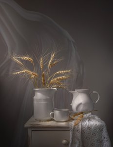 穏やかな小麦の静物画 作： 