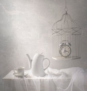 檻の中の時間 作： Margareth Perfoncio