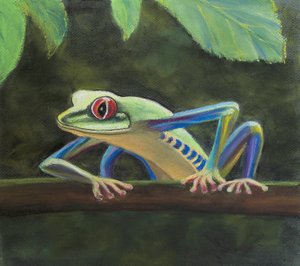 アマガエル、2020年（パステル） 作： Margo Starkey