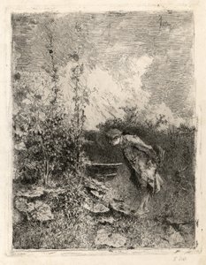 植物学者 作： Marià Fortuny Marsal