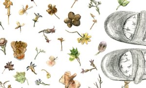 押し花、2020年 作： Maria Basea