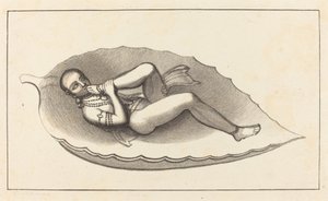 ヴィシュヌ、梵天の創造の代理人、態度、永遠の紋章 作： Maria Denman after John Flaxman