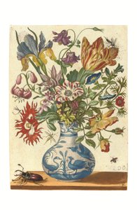 Blumenbuchからのプレート（手彩色エングレーヴィング） 作： Maria Sibylla Graff Merian