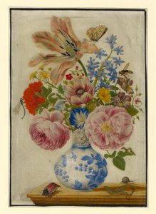  作： Maria Sibylla Merian