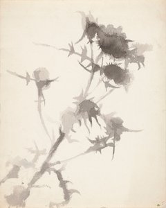  作： Maria Wiik