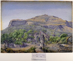 Champaneer、バローダ、インドの近く 作： Marianne North