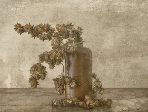 素朴なホップの静物画 作： Marie-anne Stas