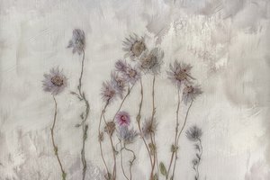 柔らかなパステルカラーの花 作： Marie-anne Stas