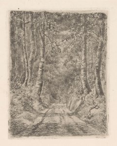 沈んだ道沿いの森 作： Marie Adolphine van der Goes van Dirxland