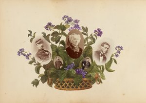マダムBのアルバム、1870年代。 作： Marie Blanche Hennelle Fournier