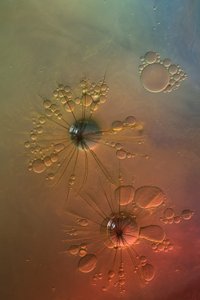 色鮮やかな流体のスターバースト 作： 
