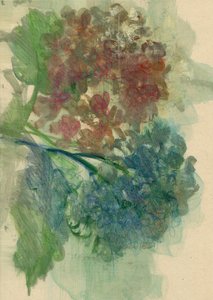 紫陽花、2022年（油彩、紙） 作： Marina Falco