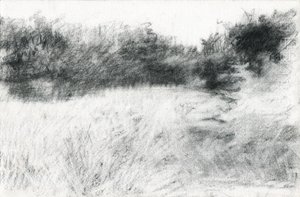 風景、2021年（木炭、紙） 作： Marina Falco