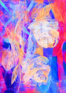 ピンクのバラ、2023年（デジタル写真） 作： Marina Falco
