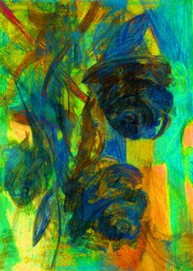 バラ、2023年（デジタル写真） 作： Marina Falco
