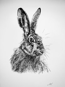 好奇心旺盛なウサギの絵 作： Marina Kozyr