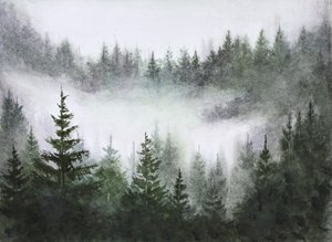 霧の森の静けさ