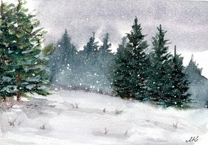 雪の冬の森