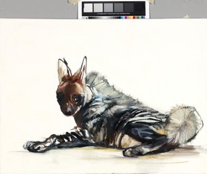 思春期、2010 作： Mark Adlington