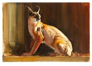 アラビアンカラカル、2010年（紙に油彩） 作： Mark Adlington