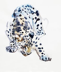 アラビアヒョウ、2008 作： Mark Adlington