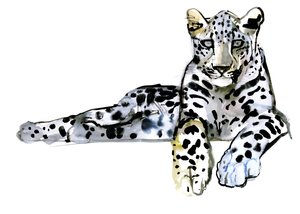 アラビアヒョウ、2008 作： Mark Adlington