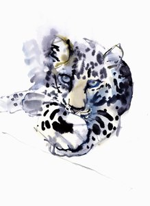アラビアヒョウ、2008 作： Mark Adlington