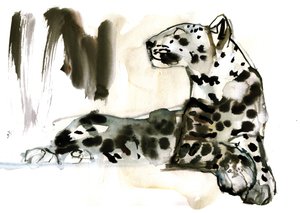 アラビアヒョウ、2008 作： Mark Adlington