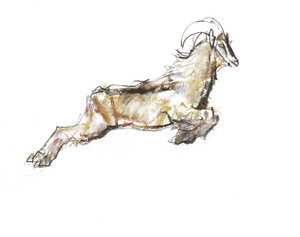アラビアンタール、2009年（紙にコンテと木炭） 作： Mark Adlington